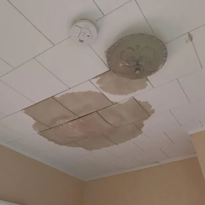 Ceiling Water Damage Repair in Edgerton, MN
