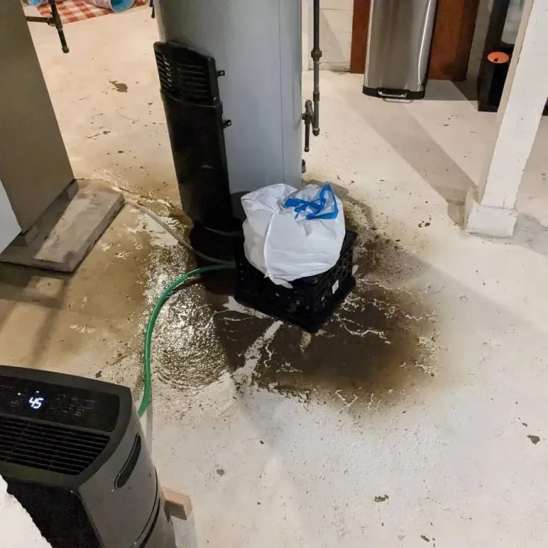 Sewage Backup Cleanup Service in Edgerton, MN
